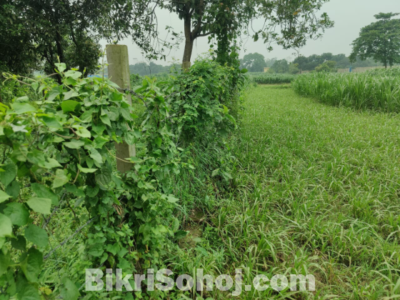 ভাকুর্তায় জমি বিক্রয়